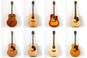 8 affordable dreadnought guitars.