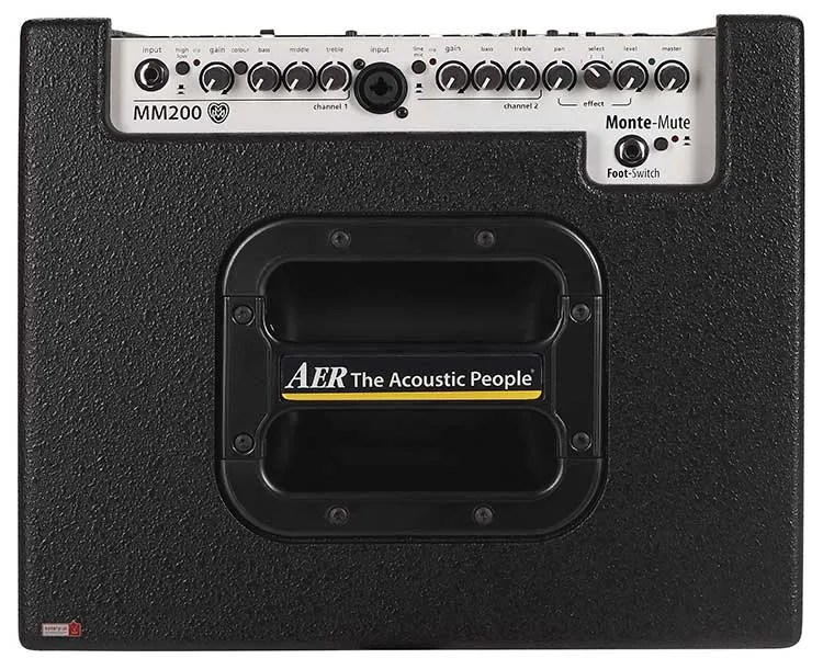 AER MM200 guitar amp