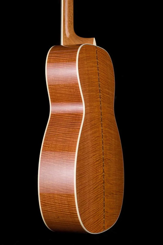 Collings OM3 custom acoustic guitar back and sides