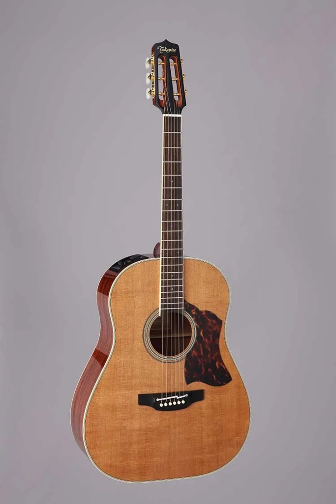 Takamine CRN TS1 guitar