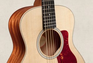 Taylor GS Mini