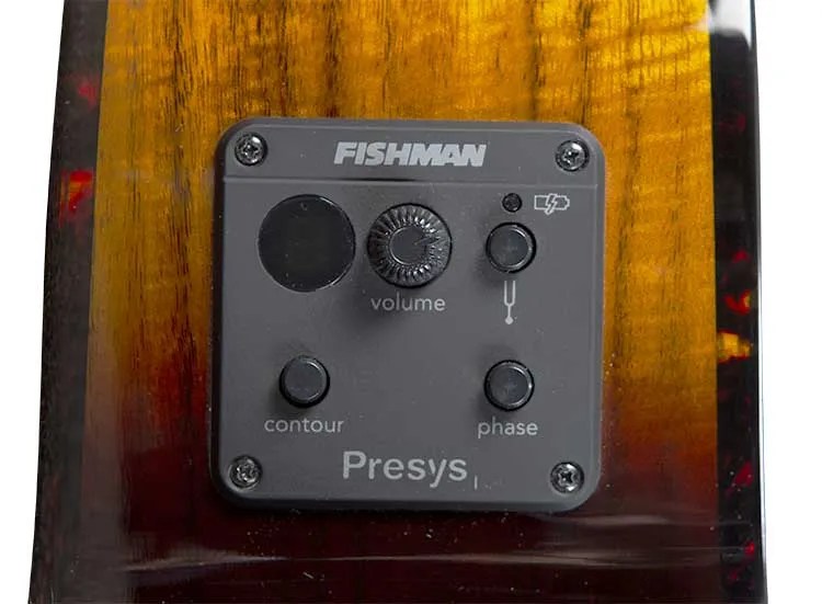 Breedlove Pursuit Exotic S Concert Edgeburst CE acoustic guitar electronics