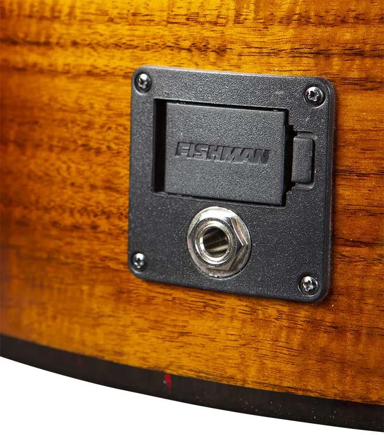 Breedlove Pursuit Exotic S Concert Edgeburst CE acoustic guitar in koa output jack